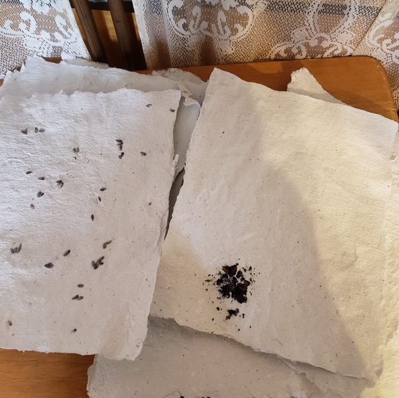 13 Pages of Handcrafted Papers with Sage Flowers - Picture 3 of 3